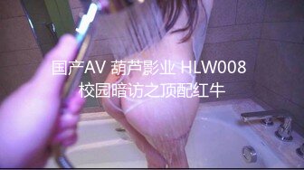 国产AV 葫芦影业 HLW008 校园暗访之顶配红牛