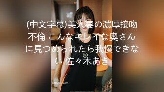 (中文字幕)美人妻の濃厚接吻不倫 こんなキレイな奥さんに見つめられたら我慢できない 佐々木あき