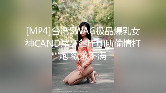 [MP4]台湾SWAG极品爆乳女神CAND尾牙餐厅厕所偷情打炮 欲求不满