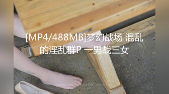 [MP4/488MB]梦幻战场 混乱的淫乱群P 一男战三女