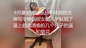 9月最新流出极品手持厕拍大神写字楼隔板女厕几乎贴到了逼上超高清偷拍几个妹子的逼和菊花