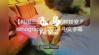 【韩国三级】淫乱朝鲜妓室.Pornography.2018 中文字幕