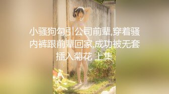 小骚狗勾引公司前辈,穿着骚内裤跟前辈回家,成功被无套插入菊花 上集