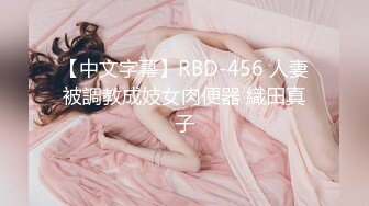 【中文字幕】RBD-456 人妻被調教成妓女肉便器 織田真子