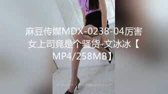 麻豆传媒MDX-0238-04厉害女上司竟是个骚货-文冰冰【MP4/258MB】