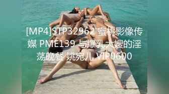 [MP4]STP32962 蜜桃影像传媒 PME139 与爆乳大嫂的淫荡晚餐 姚宛儿 VIP0600