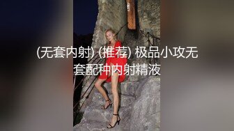 (无套内射) (推荐) 极品小攻无套配种内射精液