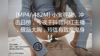 [MP4/ 482M] 小宝寻花，冲击日榜，今夜干抖音网红主播，极品大胸，玲珑有致魔鬼身材