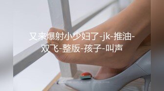 又来爆射小少妇了-jk-推油-双飞-整版-孩子-叫声