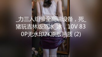 _力三人组带全高端设备，死_猪玩吉林版范冰_冰，10V 830P无水印2K原版画质 (2)