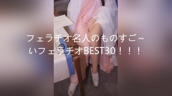 フェラチオ名人のものすご～いフェラチオBEST30！！！