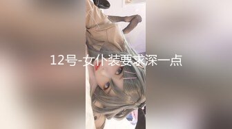 12号-女仆装要求深一点