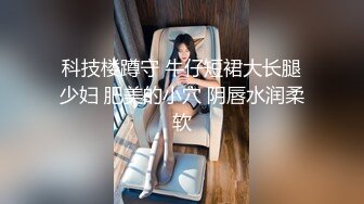 科技楼蹲守 牛仔短裙大长腿少妇 肥美的小穴 阴唇水润柔软