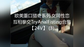 欧美重口猎奇系列.女同性恋互相拳交TryAnalFisting合集【24V】 (3)