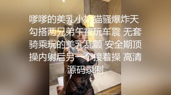 嗲嗲的美乳小奶猫骚爆炸天 勾搭两兄弟午夜玩车震 无套骑乘玩的美乳乱颤 安全期顶操内射后另一个接着操 高清源码录制