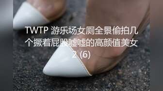 TWTP 游乐场女厕全景偷拍几个撅着屁股嘘嘘的高颜值美女2 (6)