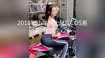 2018版小鸟酱大尺度COS系列-星奈奈x2B