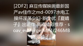 [2DF2] 麻豆传媒映画最新国产av佳作之md-0097水电工操坏淫荡少妇-新女优『夏晴子』出道作 高清精彩推荐 - soav_evMerge[MP4/246MB][BT种子]