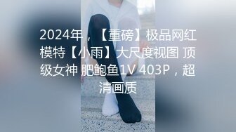 2024年，【重磅】极品网红模特【小雨】大尺度视图 顶级女神 肥鲍鱼1V 403P，超清画质