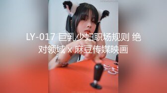 LY-017 巨乳少妇职场规则 绝对领域 x 麻豆传媒映画