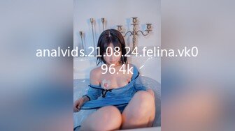 analvids.21.08.24.felina.vk096.4k